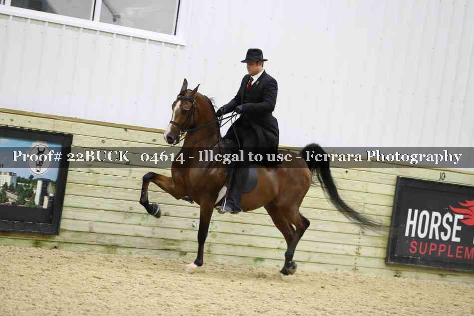 Proof 22BUCK_04614