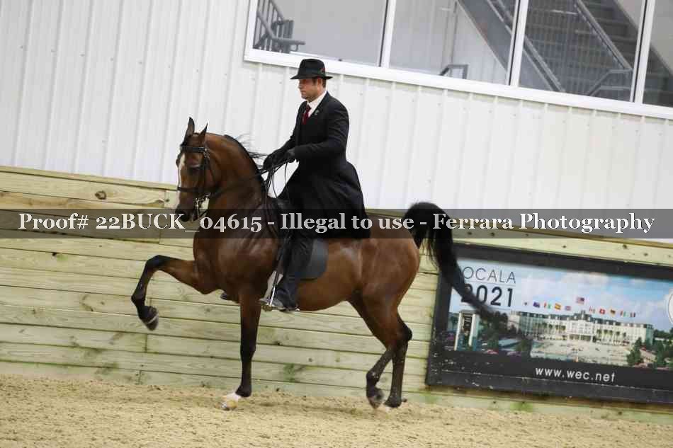 Proof 22BUCK_04615
