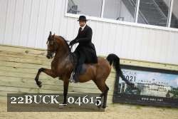 22BUCK_04615 proof
