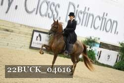 22BUCK_04616 proof