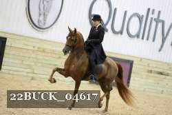 22BUCK_04617 proof