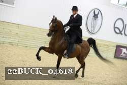 22BUCK_04618 proof