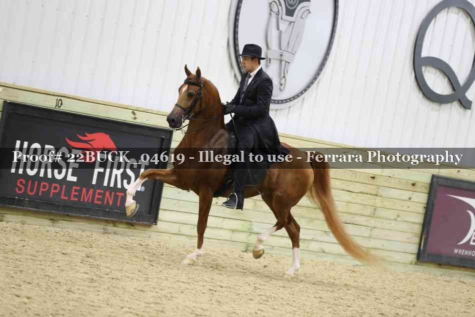 Proof 22BUCK_04619