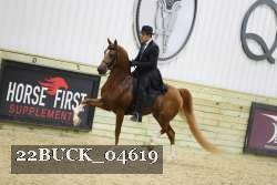 22BUCK_04619 proof