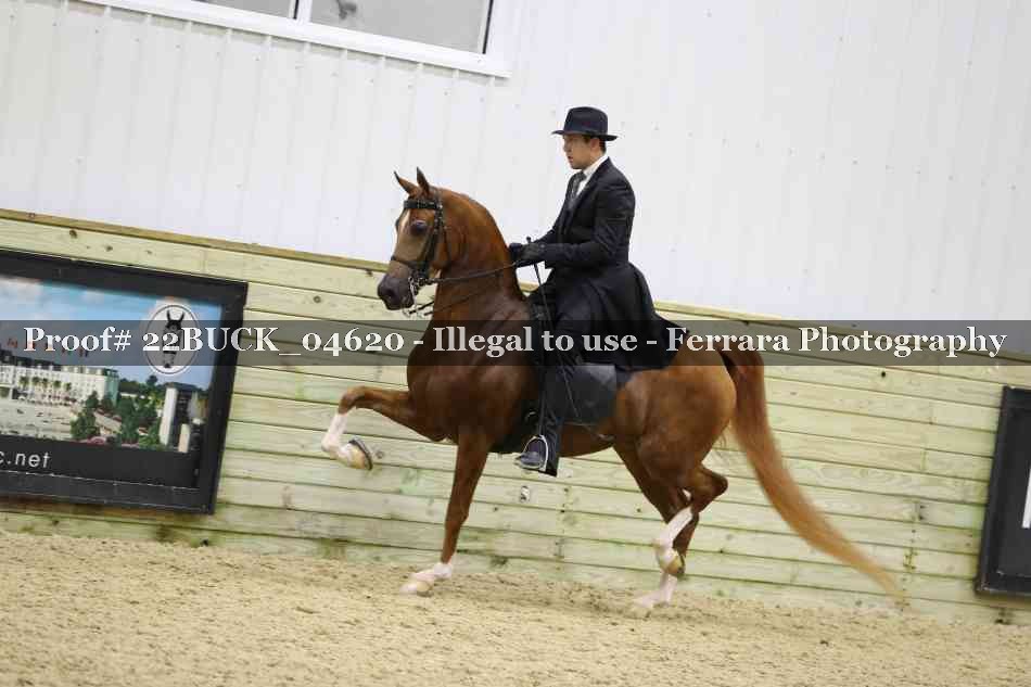 Proof 22BUCK_04620