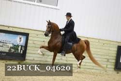 22BUCK_04620 proof