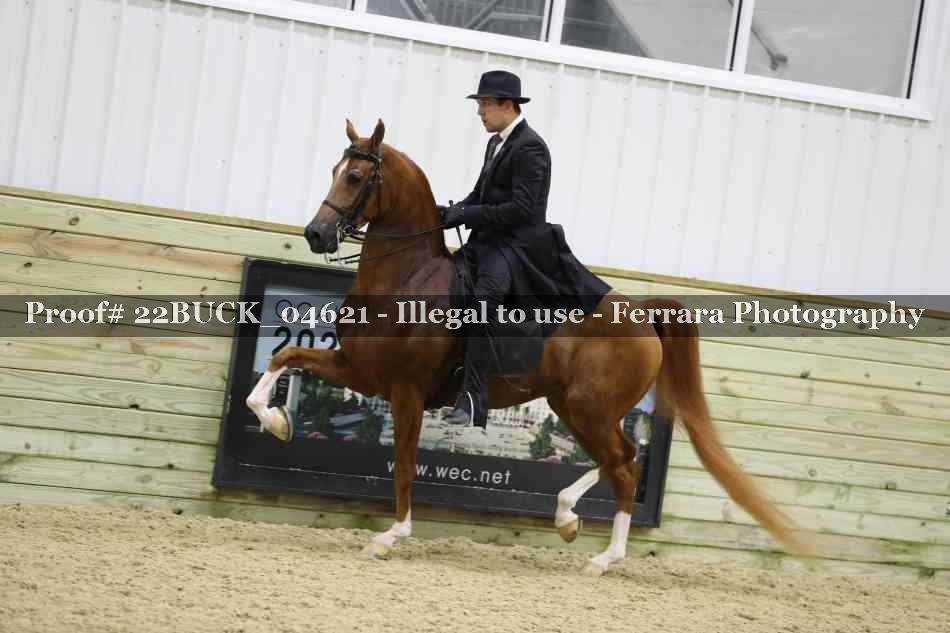 Proof 22BUCK_04621