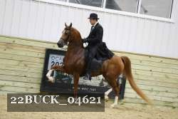 22BUCK_04621 proof