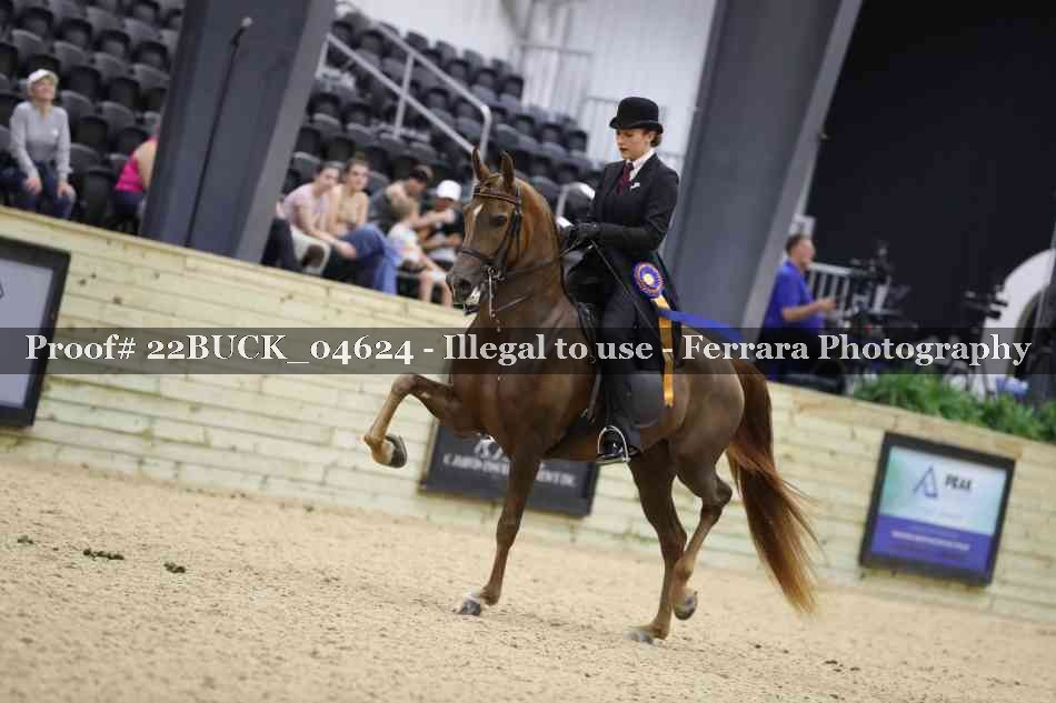 Proof 22BUCK_04624