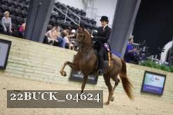 22BUCK_04624 proof