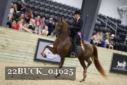 22BUCK_04625 proof