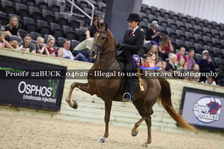 Proof 22BUCK_04626
