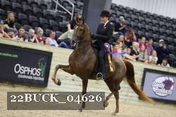 22BUCK_04626 proof