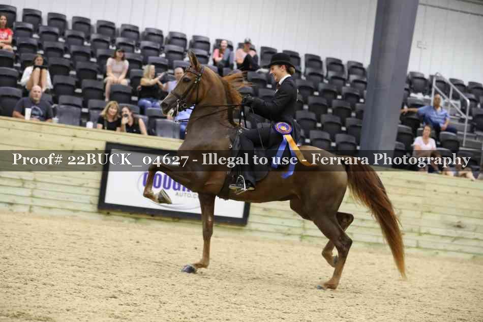 Proof 22BUCK_04627