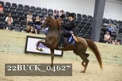 22BUCK_04627 proof