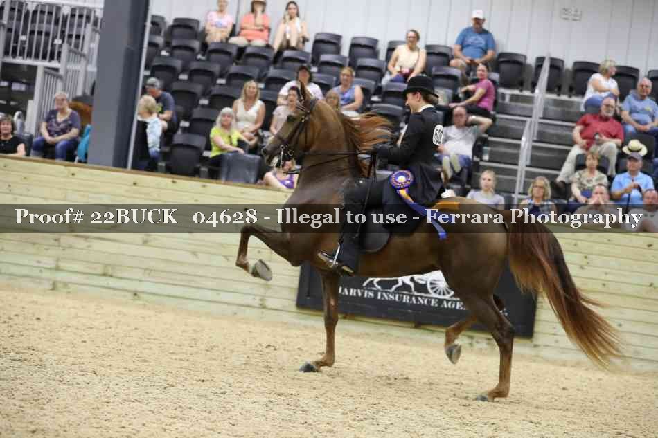 Proof 22BUCK_04628
