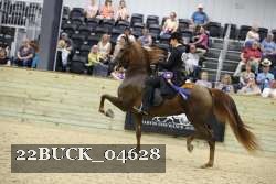 22BUCK_04628 proof