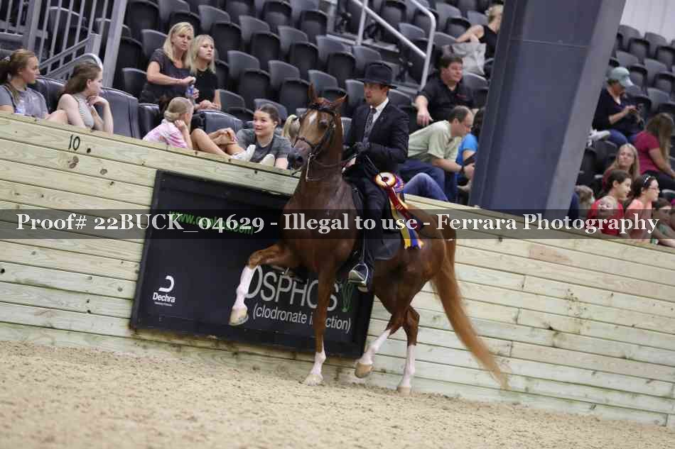 Proof 22BUCK_04629