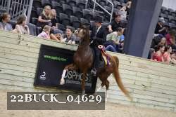 22BUCK_04629 proof