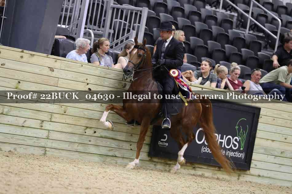 Proof 22BUCK_04630