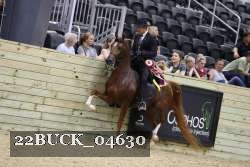 22BUCK_04630 proof