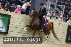 22BUCK_04631 proof