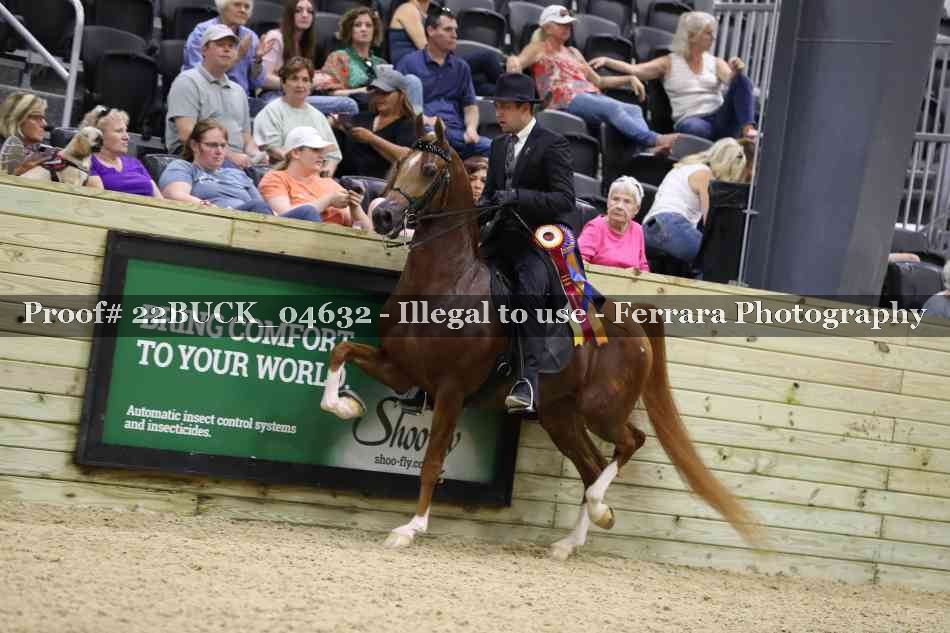 Proof 22BUCK_04632