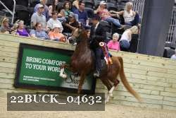 22BUCK_04632 proof