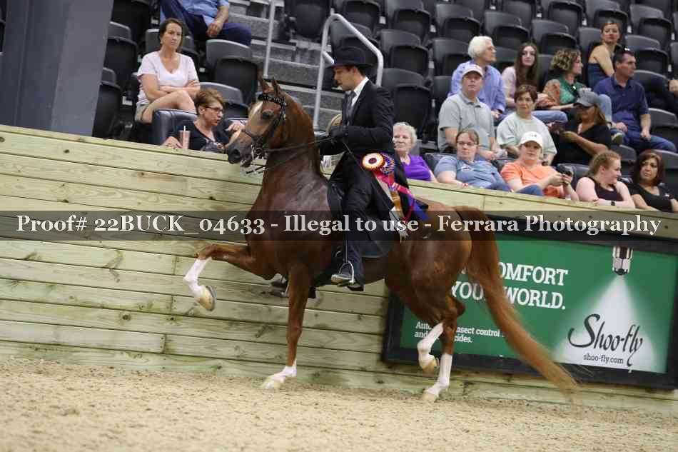 Proof 22BUCK_04633