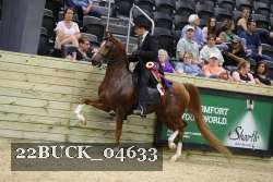22BUCK_04633 proof
