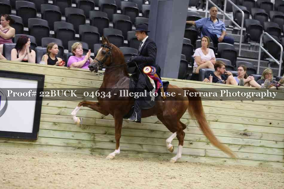 Proof 22BUCK_04634