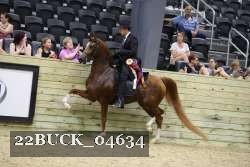 22BUCK_04634 proof