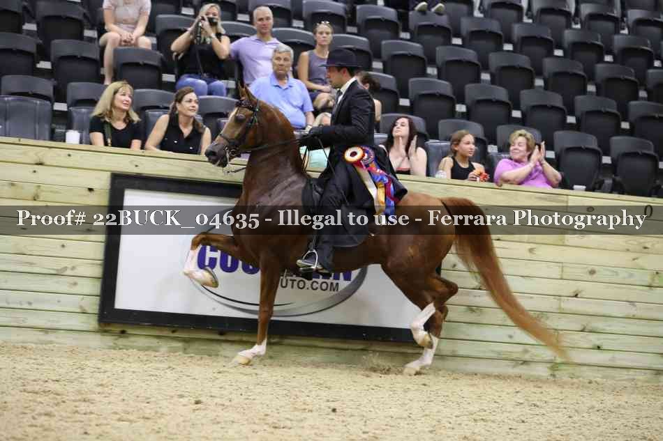 Proof 22BUCK_04635