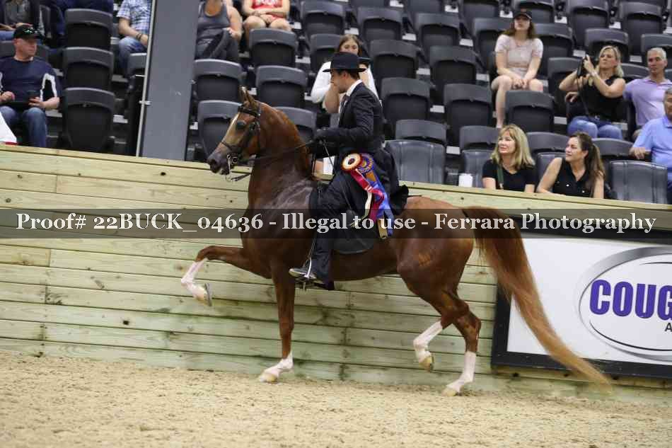 Proof 22BUCK_04636