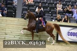 22BUCK_04636 proof