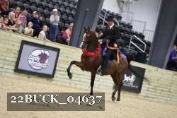 22BUCK_04637 proof