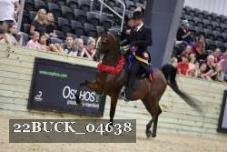 22BUCK_04638 proof
