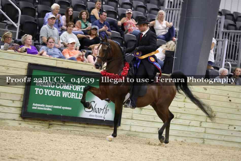 Proof 22BUCK_04639