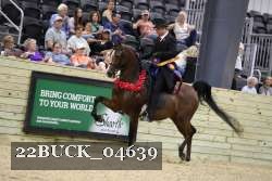 22BUCK_04639 proof