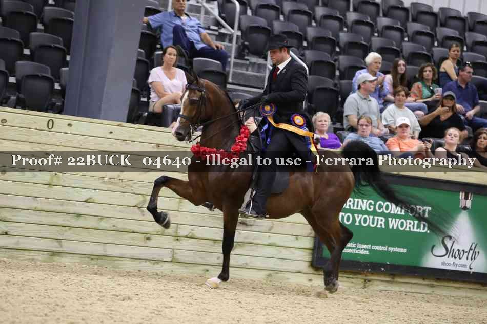 Proof 22BUCK_04640