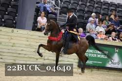 22BUCK_04640 proof