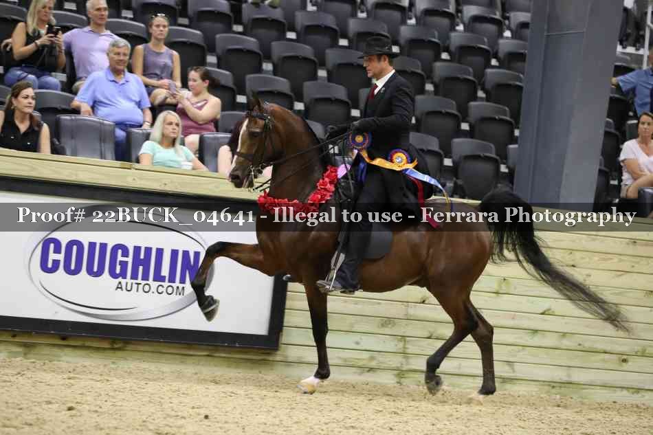 Proof 22BUCK_04641