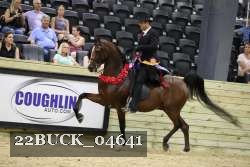 22BUCK_04641 proof