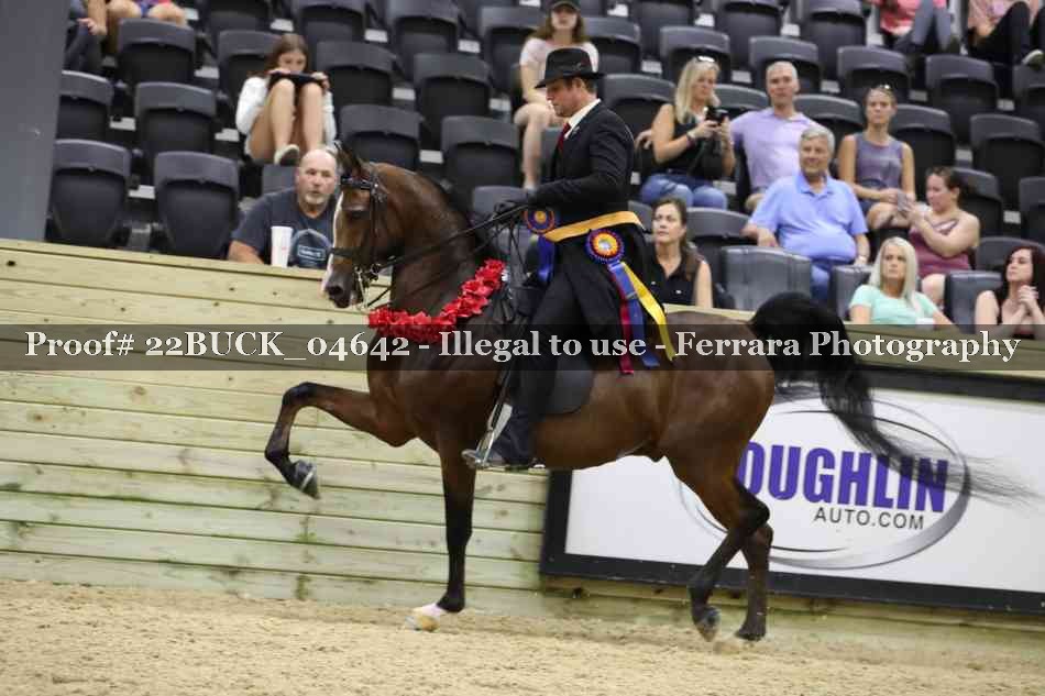 Proof 22BUCK_04642