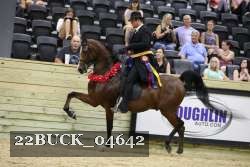 22BUCK_04642 proof