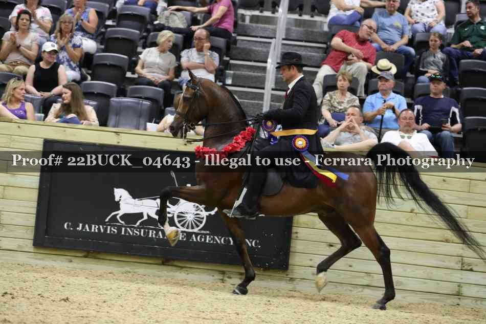 Proof 22BUCK_04643