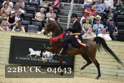 22BUCK_04643 proof