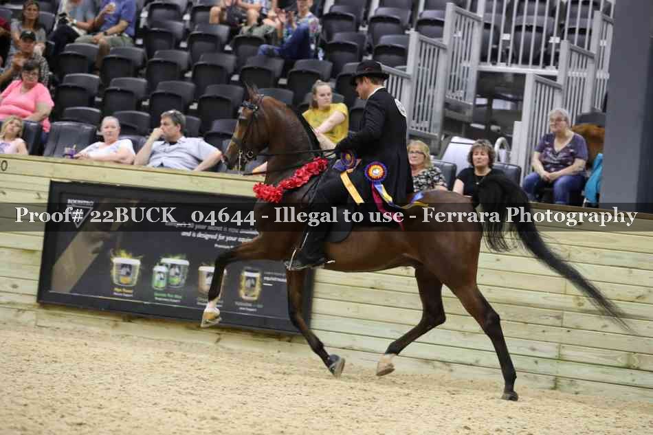 Proof 22BUCK_04644