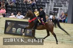 22BUCK_04644 proof