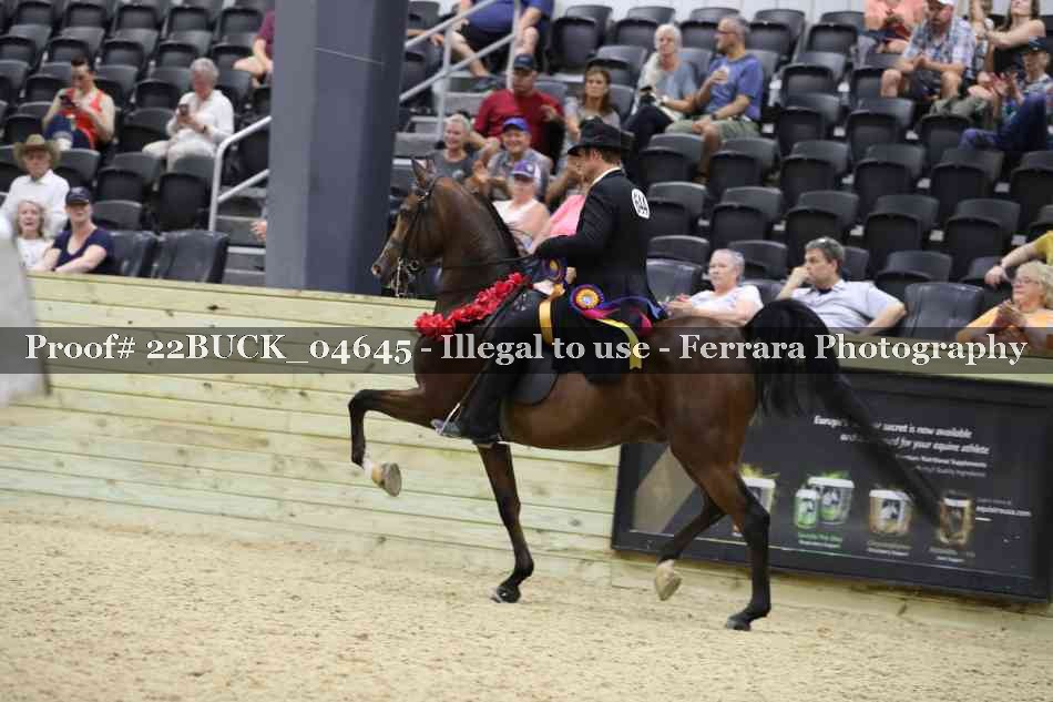 Proof 22BUCK_04645